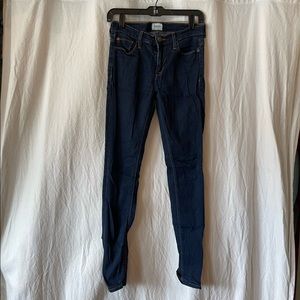 Dark Wash Hudson Skinny Jeans
